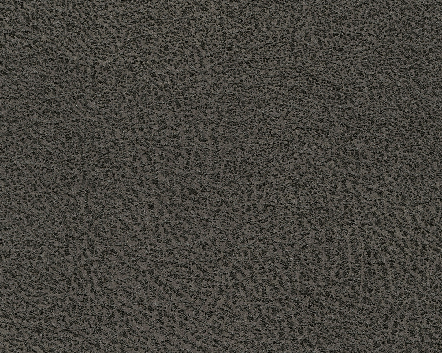 AS94002 Navi
