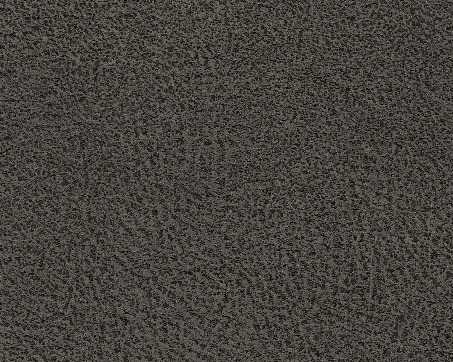 AS94002 Navi