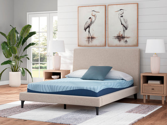 ASM204 8" Memory Foam