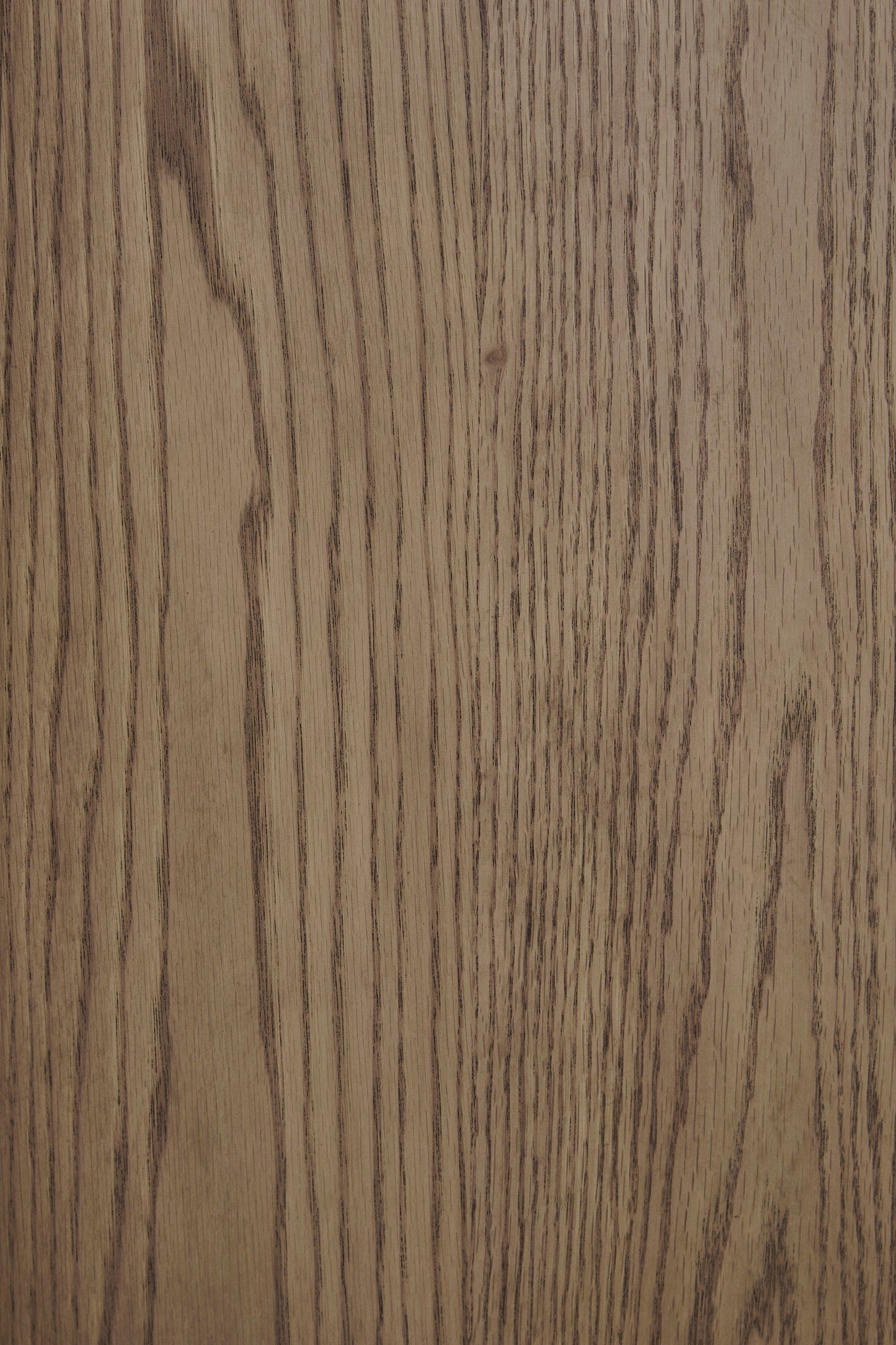 AST208-317 Camdill (Light Brown)