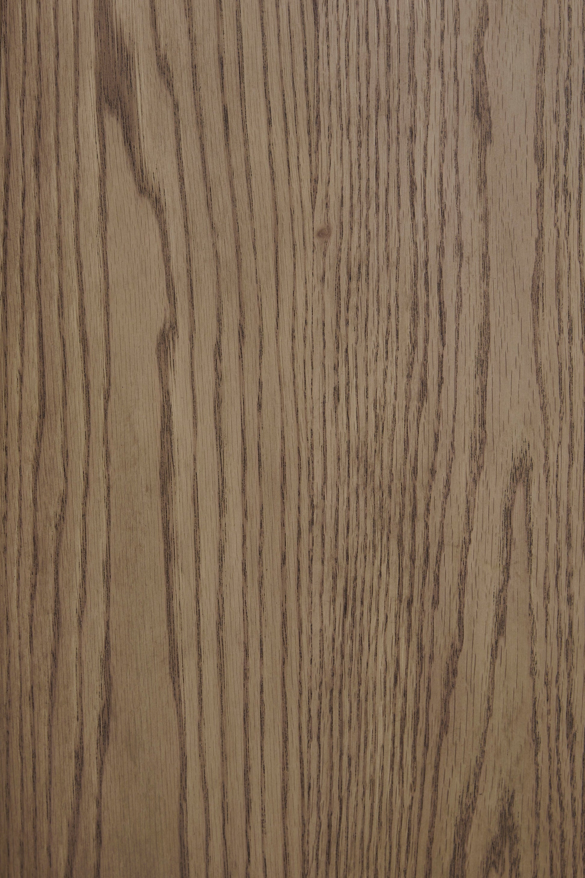 AST208-317 Camdill (Light Brown)