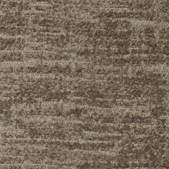 AS91302 Abalone